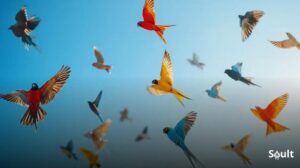Sonhar com passarinho: liberdade e mensagens do universo