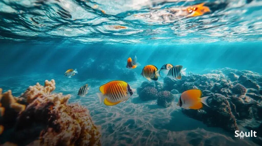 Sonhar com peixe: sorte, fluidez ou algo mais?